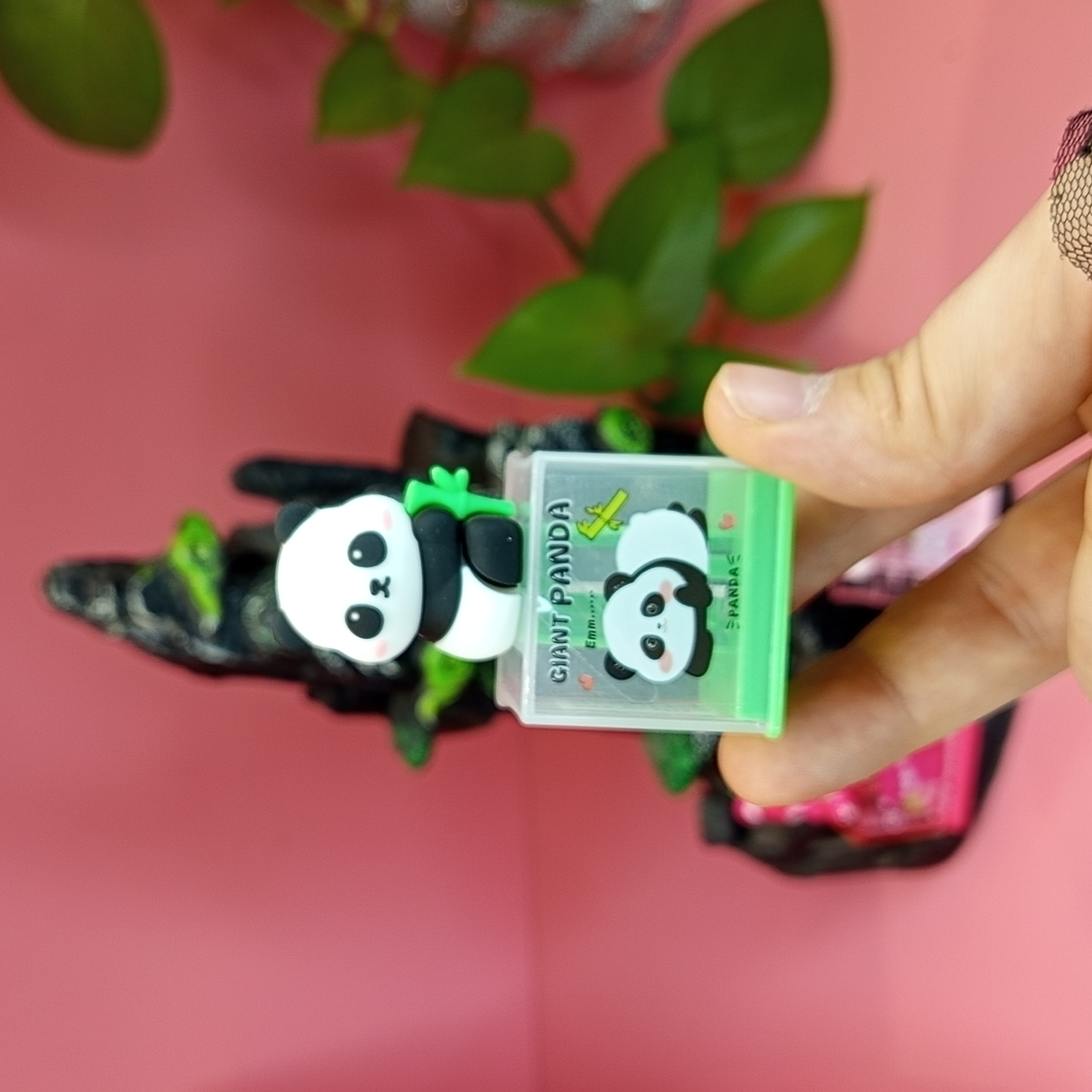 تراش پاکن پاندایی