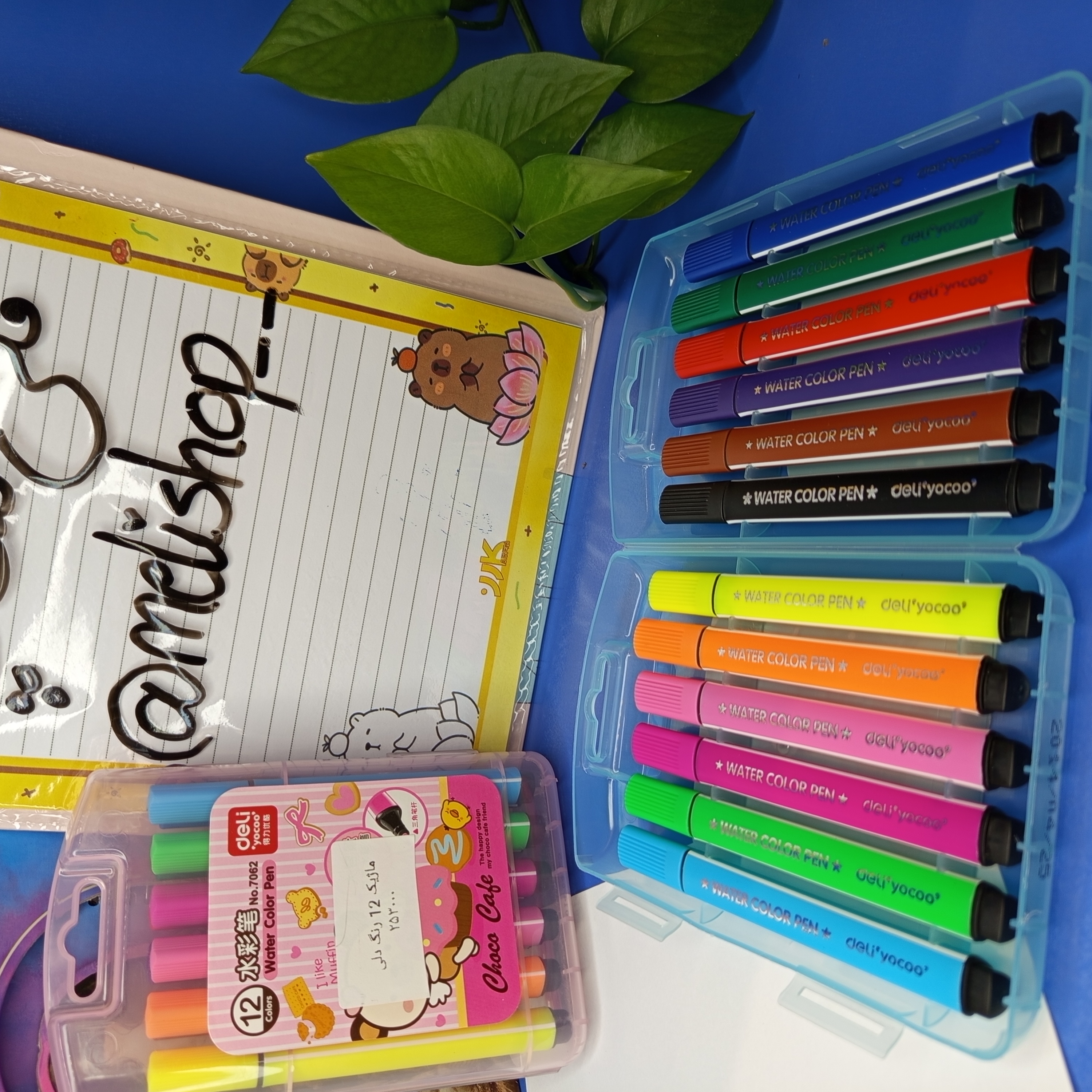 ماژیک ۱۲ رنگ دلی