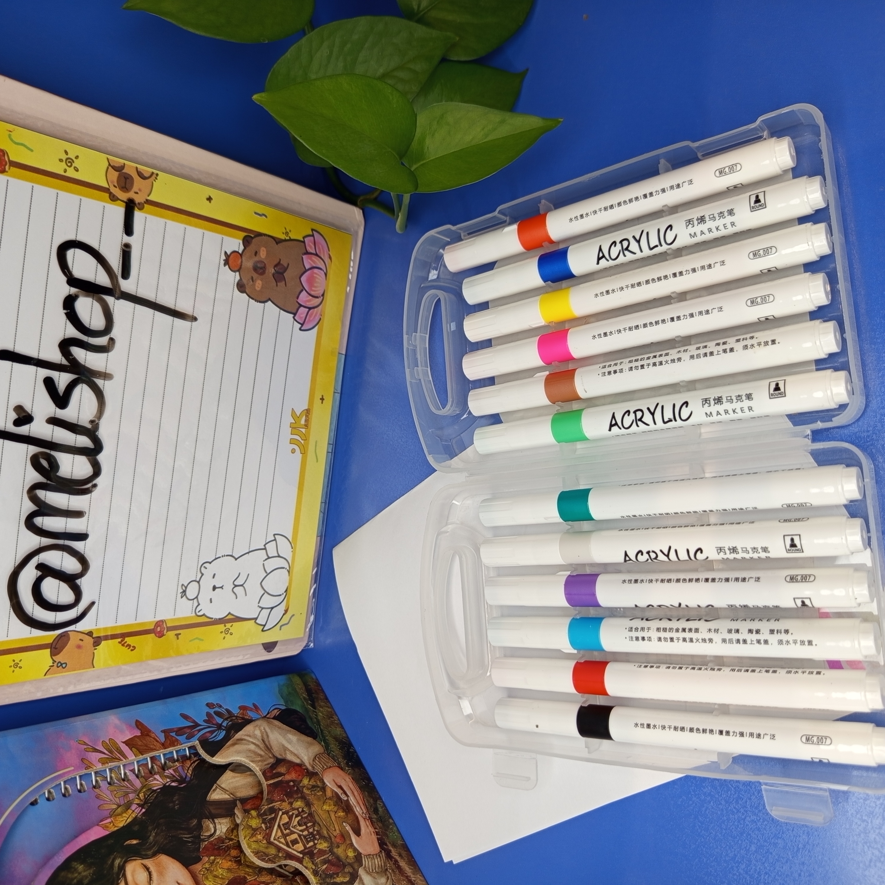 ماژیک ۱۲ رنگ اکریلیک