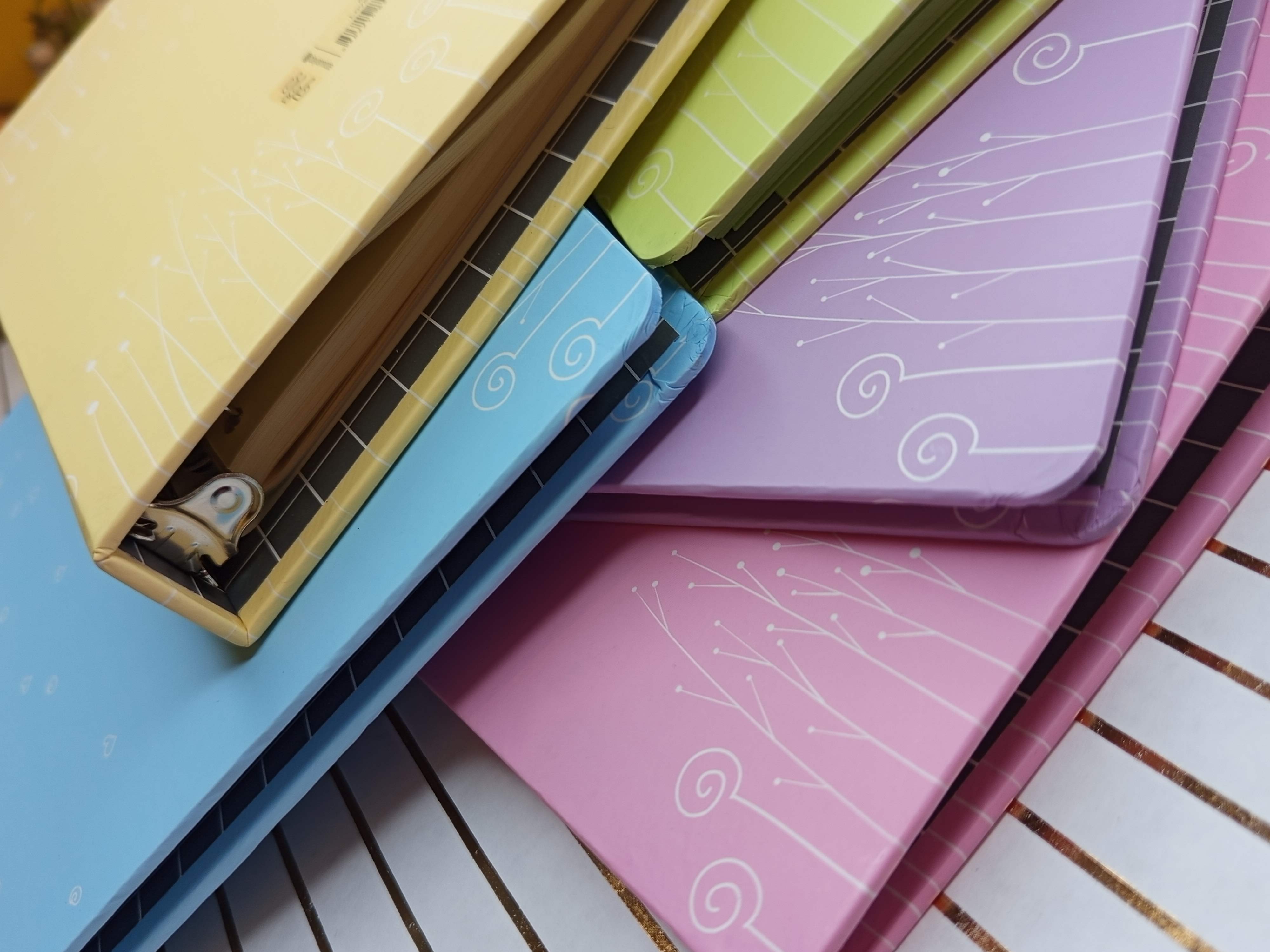 کلاسور رنگی دایان